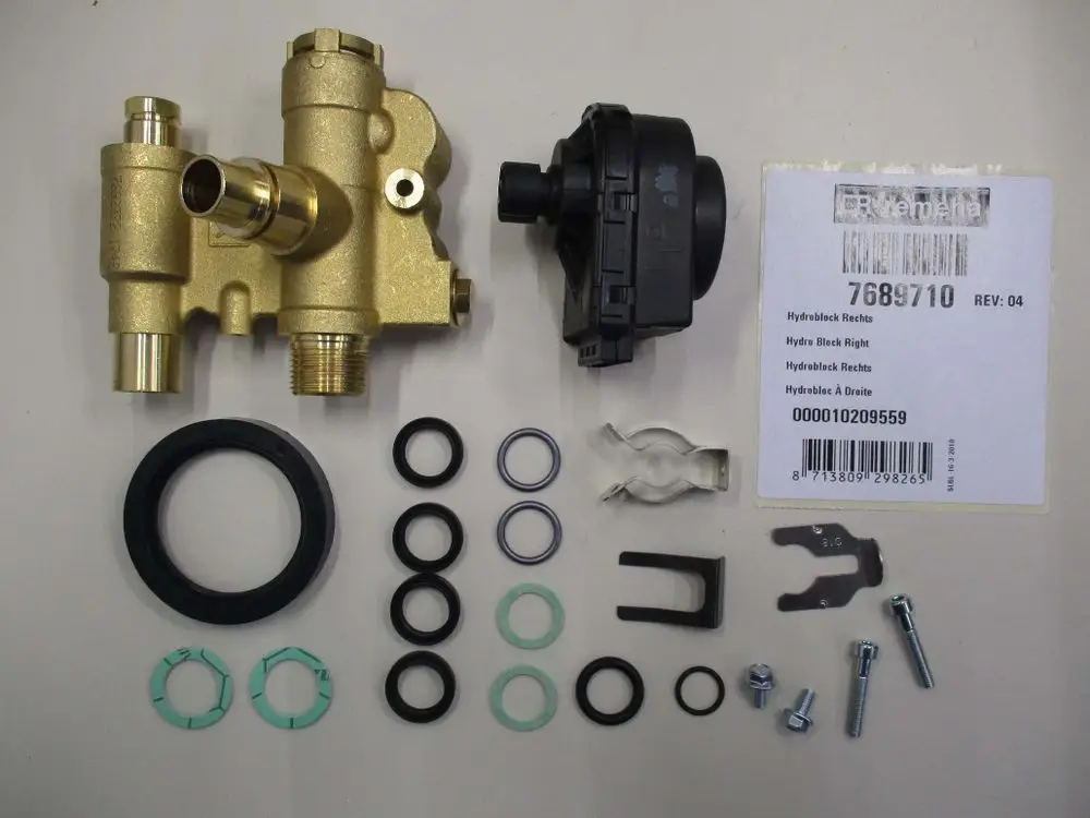 Hydroblock und Motor von Remeha, bestehend aus verschiedenen Bauteilen wie Dichtungen, Schrauben und einem elektronischen Motor, angeordnet auf einem hellen Untergrund.
